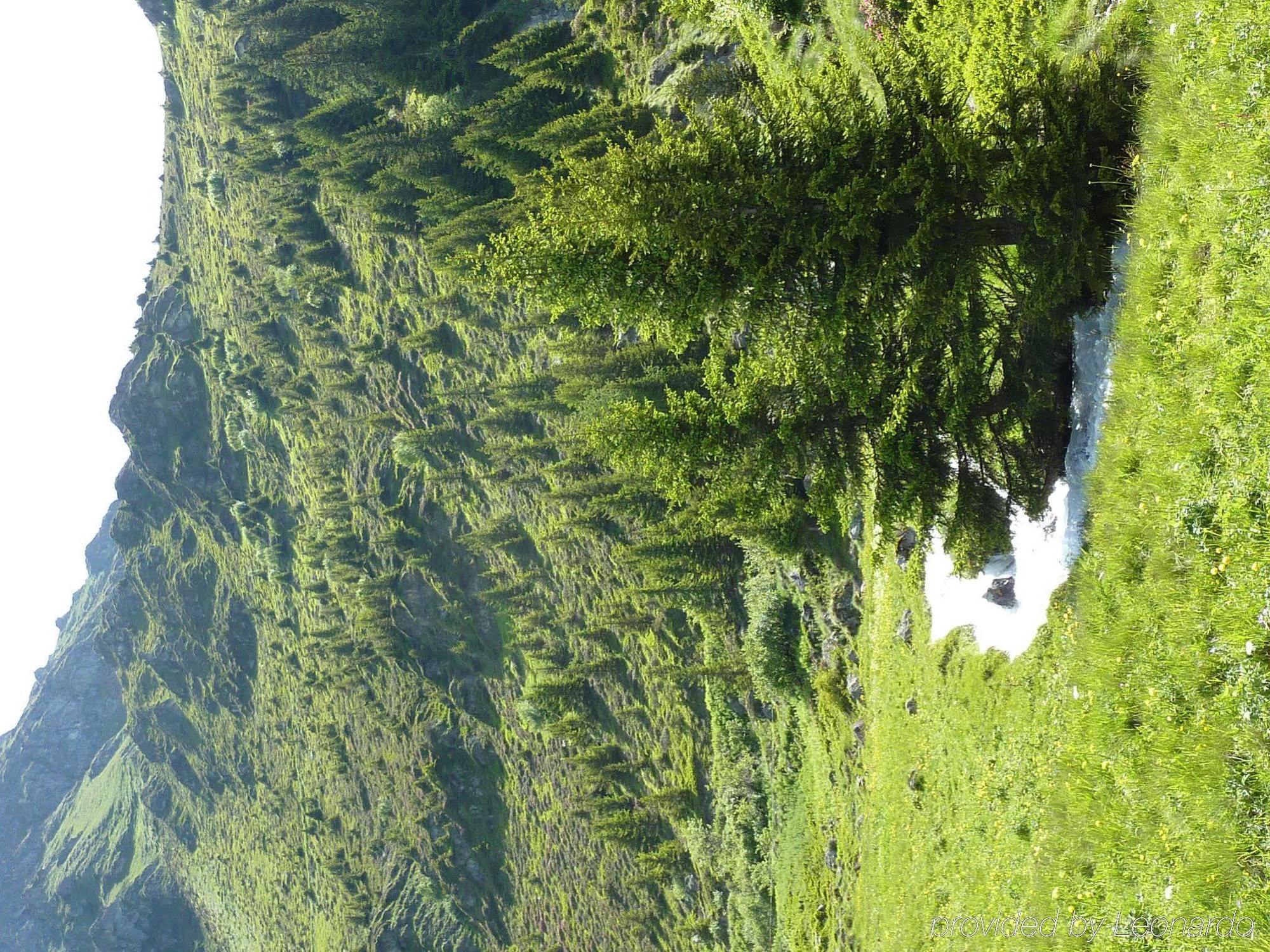 La Cordee Des Alpes Sup Hotel 4*